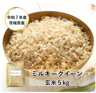 【玄米】【ミルキークイーン】【5kg】【令和7年産】【茨城県産】【一等米】「7年産 茨城ミルキークイーン…