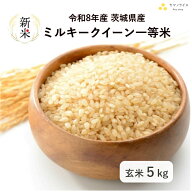【新米】【玄米】【5kg】【ミルキークイーン】【一等米】【令和8年産】【茨城県産】「8年産 茨城ミルキー…