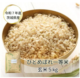 【玄米】【ひとめぼれ】【5kg】【令和7年産】【検査一等米】【茨城県産】「令和7年産 茨城県 ひとめぼれ一等米 玄米5kg」