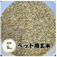 【送料無料地域あり】【お米】【ペット】【えさ】【玄米】【5kg】「ペット用のお米☆玄米5kg」
