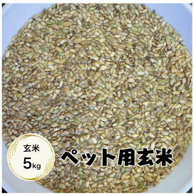 【送料無料地域あり】【お米】【ペット】【えさ】【玄米】【5kg】「ペット用のお米☆玄米5kg」