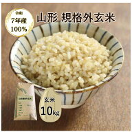 【玄米】【10kg】【送料無料】【規格外】【7年産100%】【山形県産】「7年産 山形県産 規格外玄米 10kg」
