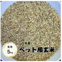 【送料無料地域あり】【お米】【ペット】【えさ】【玄米】【5kg】「ペット用のお米☆玄米5kg」