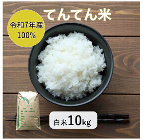 yVāzy󂠂zyāzy10kgzyKiOzyāzyāzy7NY100zyzu7NY ĂĂ 10kgv