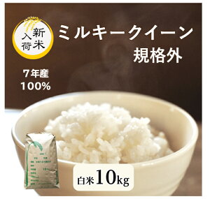 yāzy10kgzy~L[NC[zyKiOzyVāzy7NY100zyāzyāzyʌzyzu7NY ~L[NC[KiO 10kgv