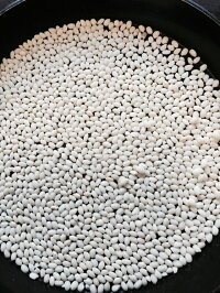 【送料無料】【モチ米】【10kg】茨城産モチ玄米10kg