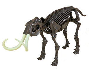 X͊V[YI@gݗăLbgy}Xz