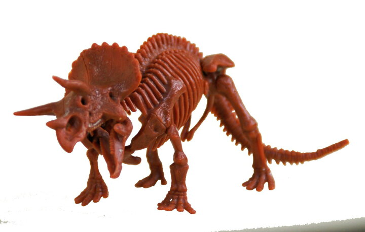 楽天市場 恐竜発掘セット トリケラトプス 化石 恐竜 骨 プレゼント 知育玩具 夏休み 自由研究 掘る ３d 恐竜 おもちゃのヤマサン