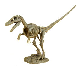 恐竜発掘セット【ベロキラプトル】 化石 恐竜 骨 プレゼント 知育玩具 夏休み 自由研究 掘る