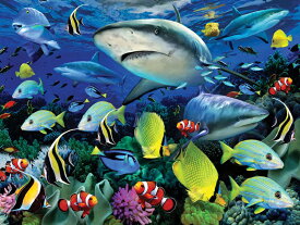 3D ジグソーパズル 【サメの海】500ピース HowardRobinson3D サメ 海 おうち時間 かっこいい プレゼント 脳トレ 知育玩具