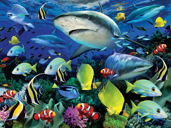 楽天市場 3d ジグソーパズル サメの海 500ピース Howardrobinson3d サメ 海 おうち時間 かっこいい プレゼント 脳トレ 知育玩具 ３d 恐竜 おもちゃのヤマサン