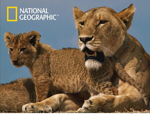 3D �W�O�\�[�p�Y�� �y���C�I���z500�s�[�X NATIONAL GEOGRAPHIC ���� ���������� �쐶 ���������� �]�g�� �v���[���g �m��ߋ�