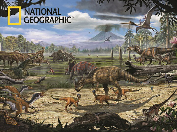 楽天市場 3d ジグソーパズル 恐竜の沼 500ピース National Geographic 恐竜 おうち時間 かっこいい 幻想的 父の日 プレゼント 脳トレ 知育玩具 ヤマサンネットショップ楽天市場店 楽天市場 3d ジグソーパズル 恐竜の沼 500ピース National Geographic 恐竜 おうち時間 かっこいい 幻想的 父の日 プレゼント 脳トレ 知育玩具 ヤマサンネットショップ楽天市場店