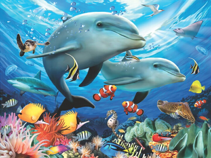 楽天市場 3d イルカ ジグソーパズル 波の下では 500ピース Howardrobinson 海 イルカ 魚 おうち時間 かわいい プレゼント 脳トレ 知育玩具 ３d 恐竜 おもちゃのヤマサン