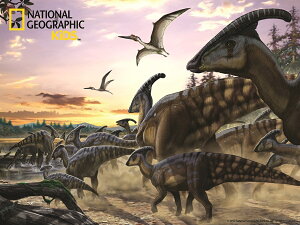 3D �W�O�\�[�p�Y�� �y�J���m�n�V���z100�s�[�X NATIONAL GEOGRAPHIC ���� �p���T�E�����t�X ���������� �]�g�� �v���[���g �m��ߋ�