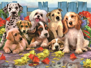 3D WO\[pY yŃHz48s[X HowardRobinson  킢   ]g v[g mߋ