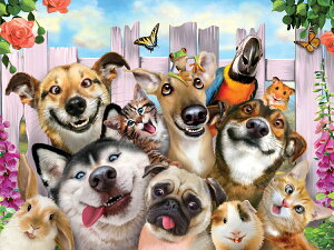 AEgbg z 3D pYyybg̎Bʐ^z500s[X