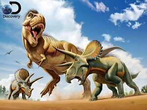 3D �W�O�\�[�p�Y�� �y�e�B���m�T�E���XVS�g���P���g�v�X�z500�s�[�X Discovery ���� T-REX ���������� �]�g�� �v���[���g �m��ߋ� �킢