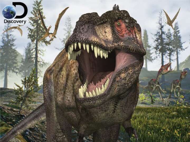 楽天市場 3d ジグソーパズル ティラノサウルスレックス 150ピース Discovery 恐竜 おうち時間 かっこいい プレゼント 脳トレ 知育玩具 ３d 恐竜 おもちゃのヤマサン