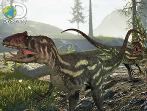 3D WO\[pY yATEXz100s[X Discovery   ]g v[g mߋ