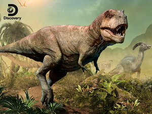 3D �W�O�\�[�p�Y�� �y�\�N�Q��I(T-REX)�z500�s�[�X Discovery ���� �e�B���m�T�E���X ���������� ���������� �v���[���g �]�g�� �m��ߋ� �C �킢