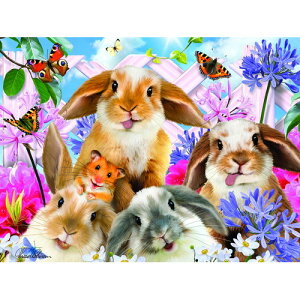 3D WO\[pY y̎Bʐ^z100s[X ybg nX^[ ETM   ]g v[g mߋ