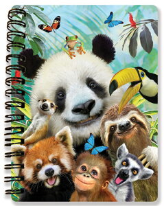 A6TCY3Dm[gy̒Ԃ̎Bʐ^z