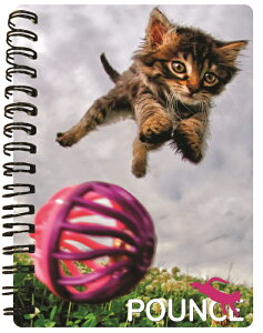 A6TCY3Dm[gyL̃tbhEtXg[z