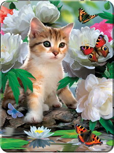 3D}OlbgyỎԂɂ܂āz