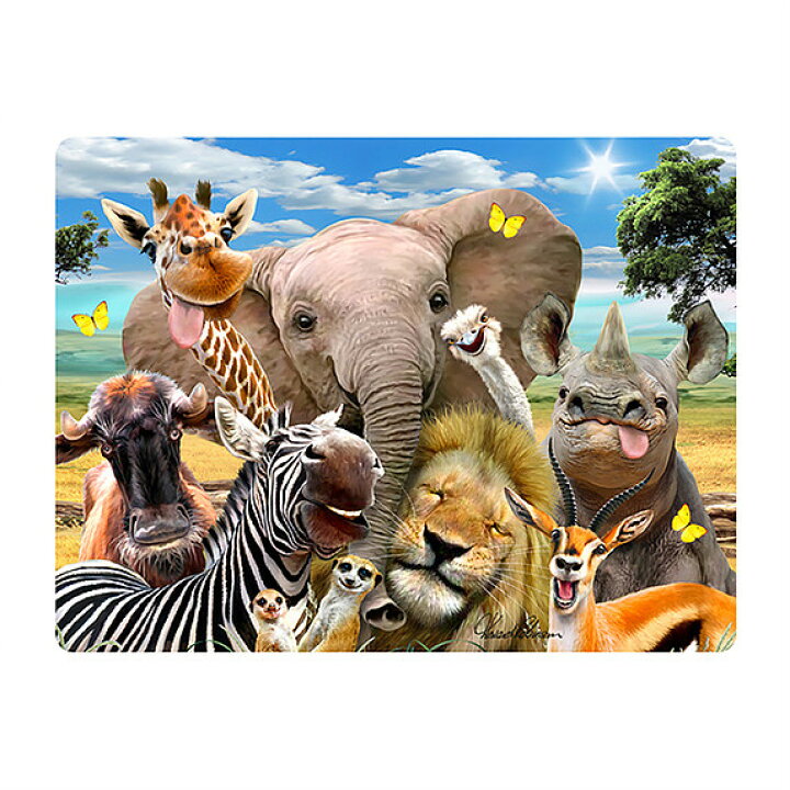 楽天市場 3dポストカード アフリカの動物たちの自撮り写真 ３d 恐竜 おもちゃのヤマサン