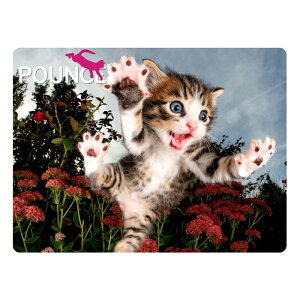 3D�|�X�g�J�[�h�y�L�т�����z