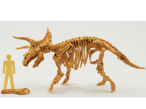 AEgbg z XPg E LbgygPgvXz