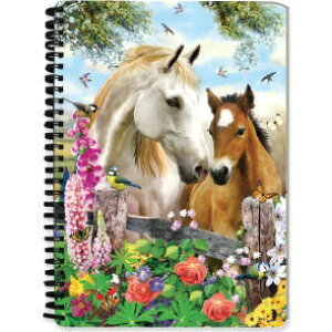 ʌA5TCY3Dm[gyẲԁXɈ͂܂āz