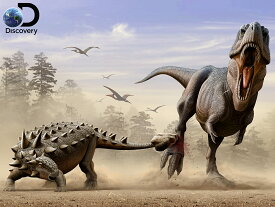 3D ジグソーパズル 【エウオプロケファルスVSダスプレトサウルス】500ピース Discovery 恐竜 おうち時間 かっこいい プレゼント 脳トレ 知育玩具 戦い