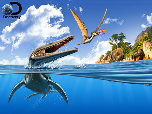 3D �W�O�\�[�p�Y�� �y�v���V�I�v���I�h��VS�I���j�g�P�C���X�z500�s�[�X Discovery ���� ���������� ���������� �v���[���g �]�g�� �m��ߋ� �C �킢