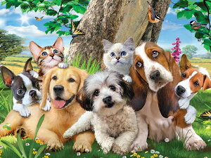 3D WO\[pYyq̒ԁz48s[X HowardRobinson  킢   ]g v[g mߋ