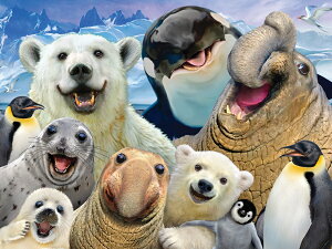 yN[ȊC̒Ԃ̎Bʐ^z100s[X yM VN}  k   ]g v[g mߋ