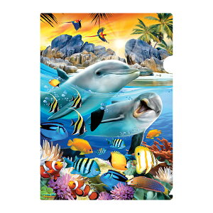 3D �N���A�z���_�[�y���̗[���z �� �C���J �M�ы� ������ ���[�� �N���A�t�@�C�� �v���[���g
