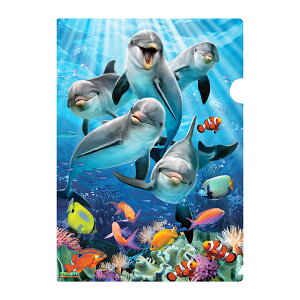 3D �N���A�z���_�[�y�C���J�̊�сz �� �C ���邩 ������ �M�ы� ���[�� �N���A�t�@�C�� �v���[���g