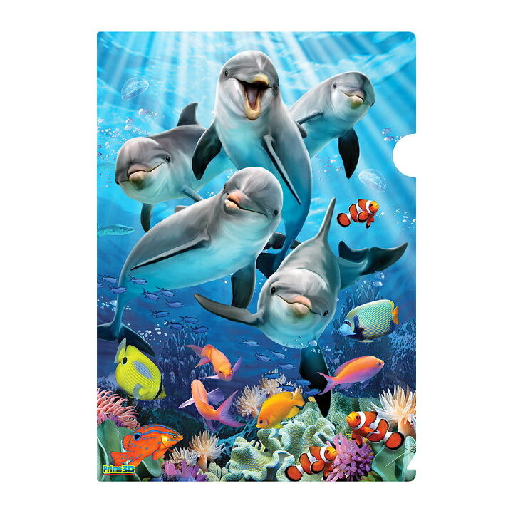 楽天市場】3D クリアホルダー【イルカの喜び】 魚 海 いるか 水族館 