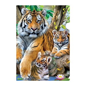 3D NAz_[yg̐eqz  ^CK[ [ NAt@C v[g