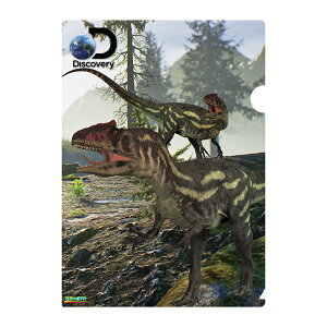 3D �N���A�z���_�[�y�A���T�E���X�z ���� ���[�� �N���A�t�@�C�� �v���[���g