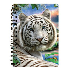 A6TCY3Dm[gyX}g̃zCg^CK[z