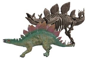 tBMAt @  XPgLbgyXeSTEXz