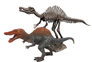 tBMAt @  XPgLbgyXsmTEXz