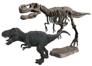 tBMAt @  XPgLbgyeBmTEXz