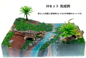 ◇◆ジュラシック・ランド◆◇ジオラマ キット Hセット