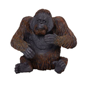 �I�����E�[�^�� / mojo ���� �t�B�M���A �쒷��