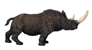 PuJTC@mojo @Ñ㓮 tBMA