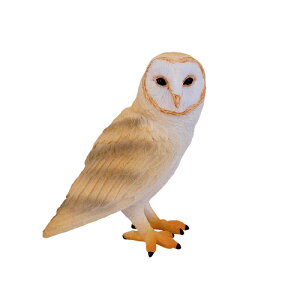 �����t�N���E / mojo ���� �� �t�B�M���A